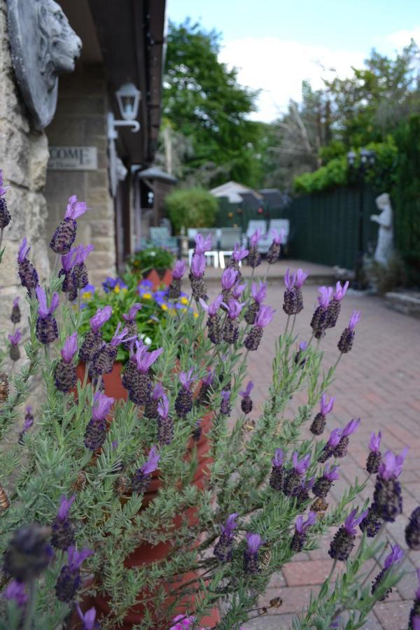 Castle Green Bed And Breakfast Ashbourne  Exterior photo