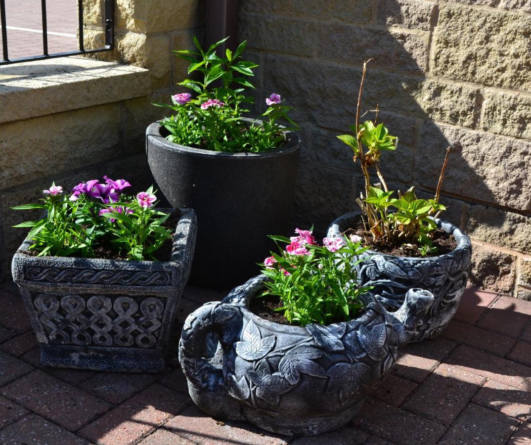 Castle Green Bed And Breakfast Ashbourne  Exterior photo